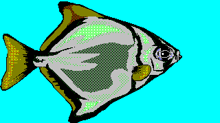 Fisch